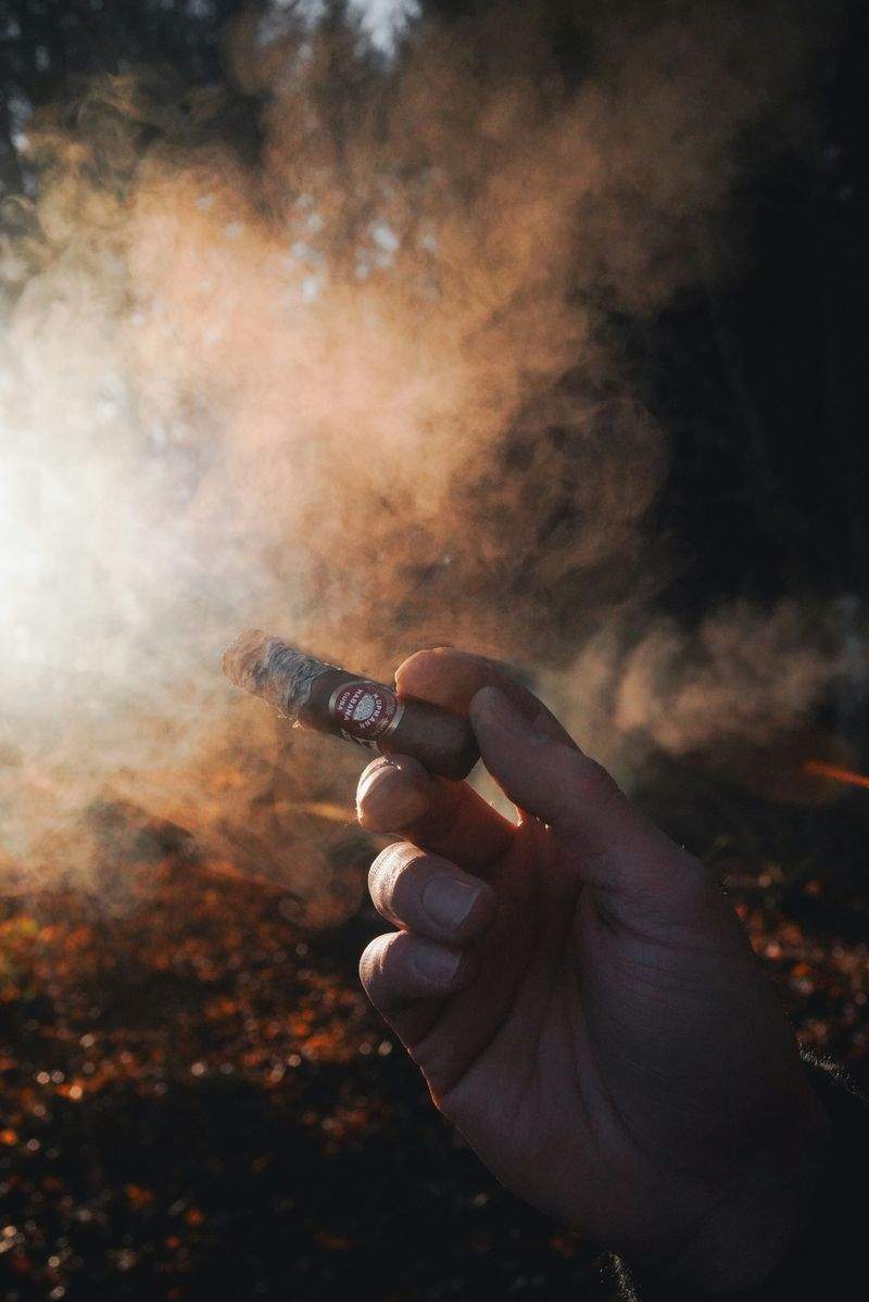 HobbyHuset Danmark - Image 13